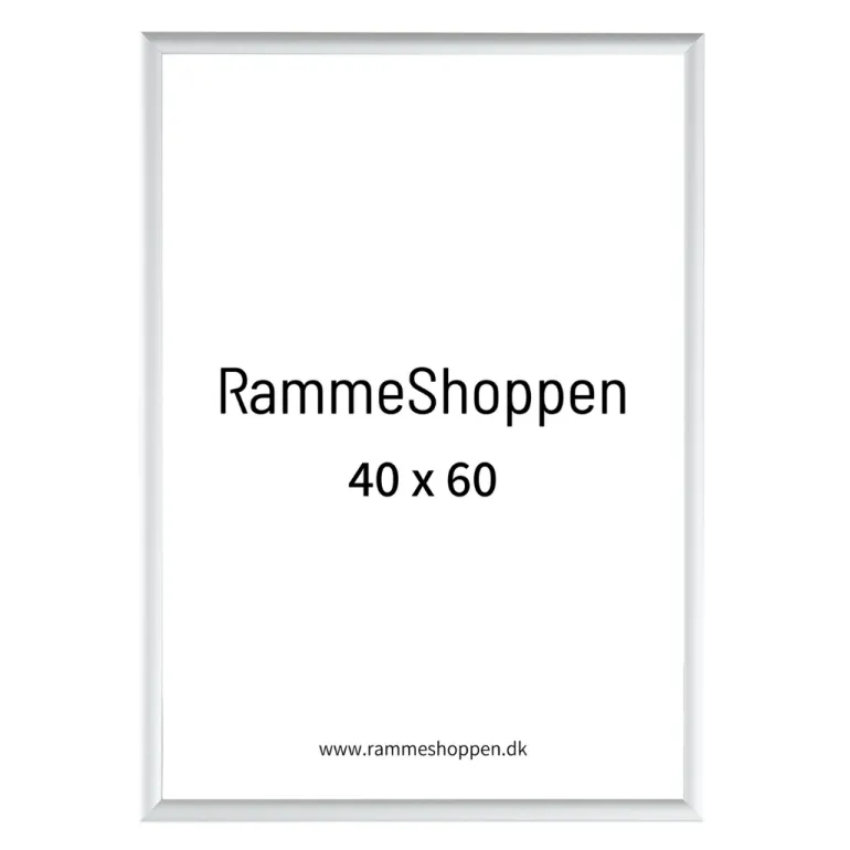 Sølvramme, mat, aluminium, smal, 40 x 60 cm, Type 670