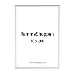 Sølvramme, mat, aluminium, smal, 70 x 100 cm, Type 670
