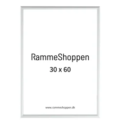 Sølvramme, mat, aluminium, smal, 30 x 60 cm, Type 670