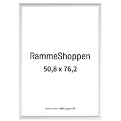 Sølvramme, mat, aluminium, smal, 50 x 75 cm til 50,8 x 76,2 cm indhold, Type 670