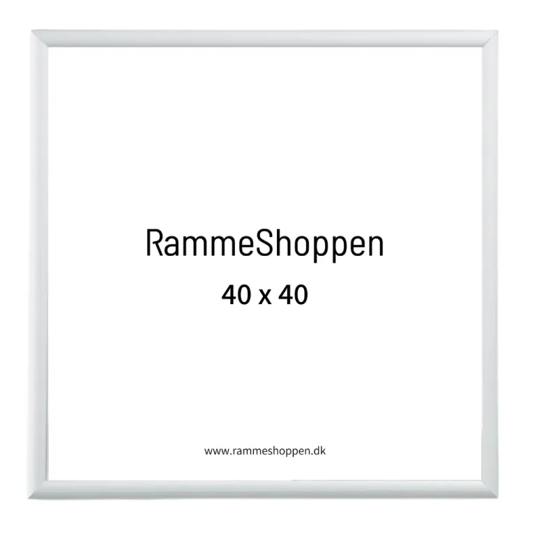 Sølvramme, mat, aluminium, smal, 40 x 40 cm, Type 670