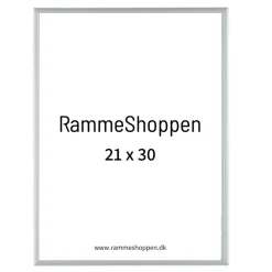 Sølvramme, mat, aluminium, smal, 21 x 30 cm, A4, Type 670