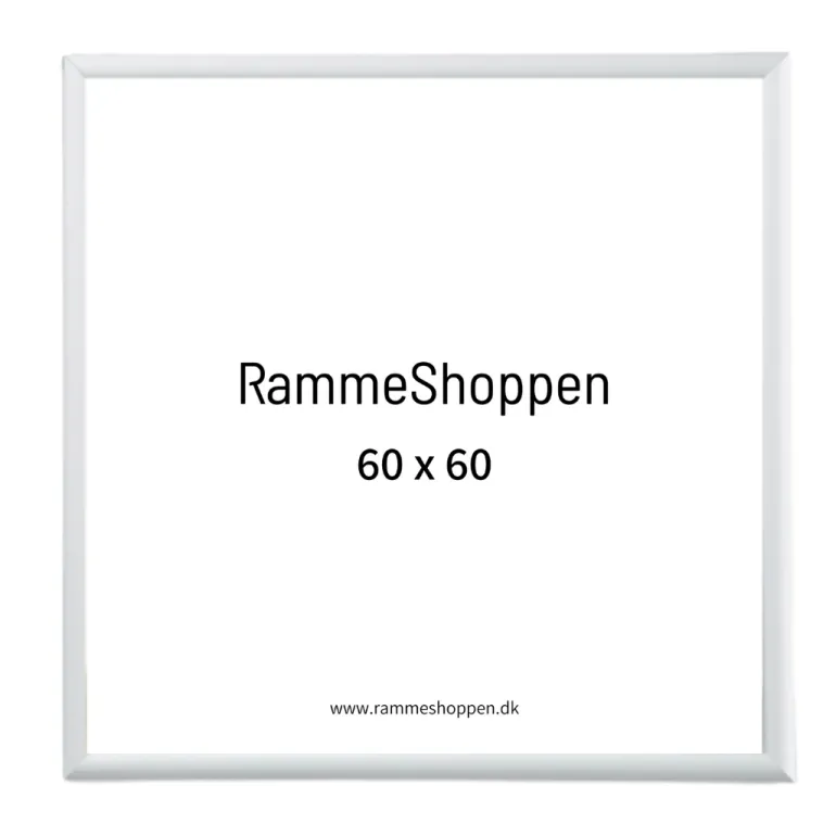 Sølvramme, mat, aluminium, smal, 60 x 60 cm, Type 670