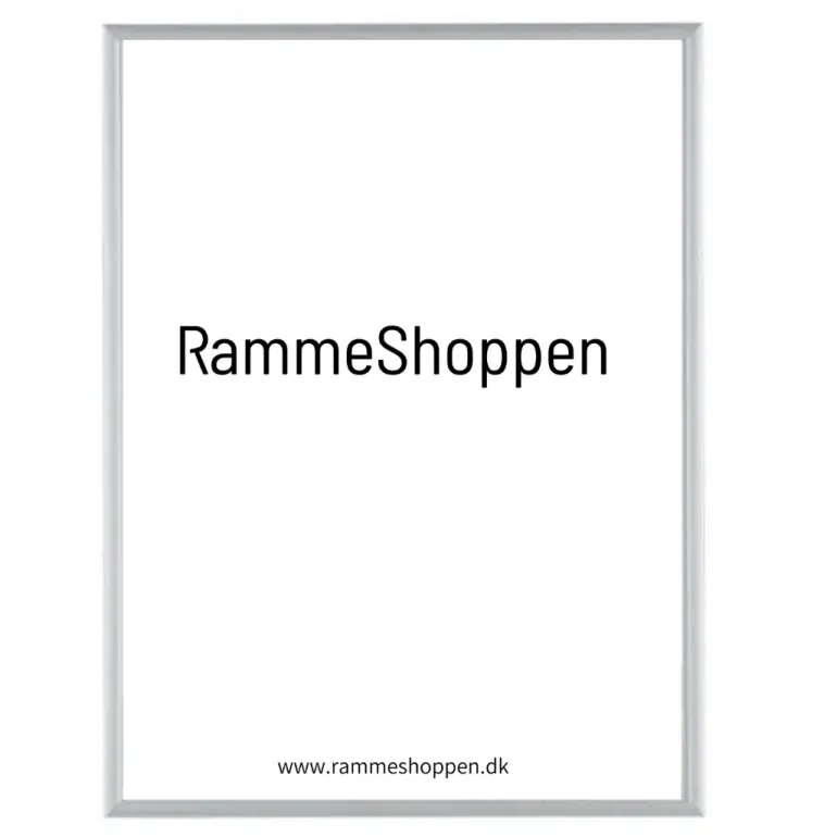 Sølvramme, mat, aluminium, smal, Type 670