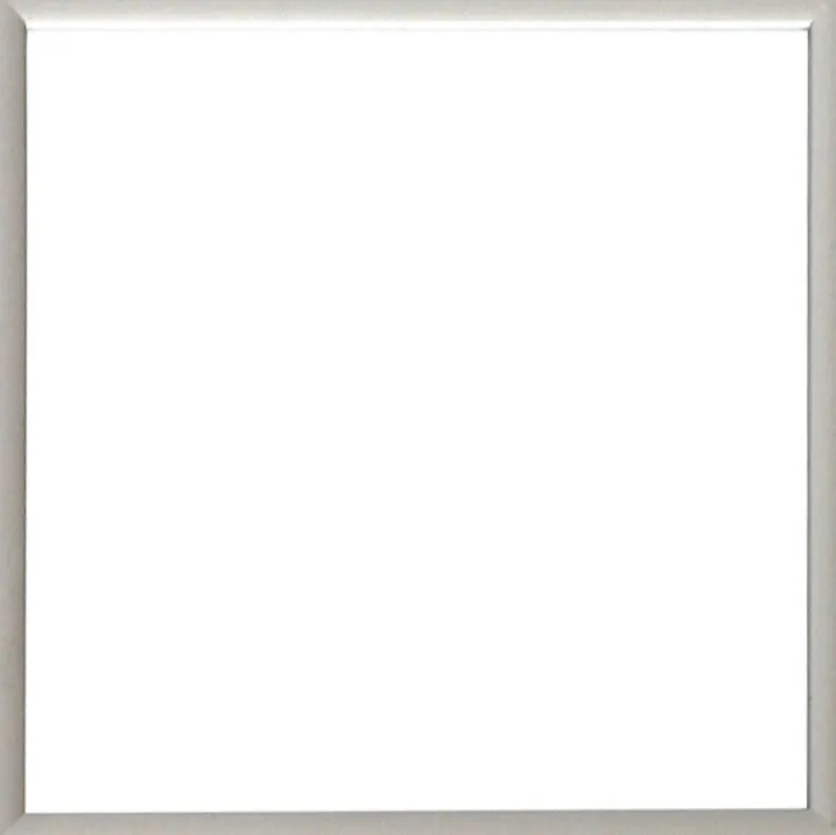 Sølvramme, mat, aluminium, smal, Type 670