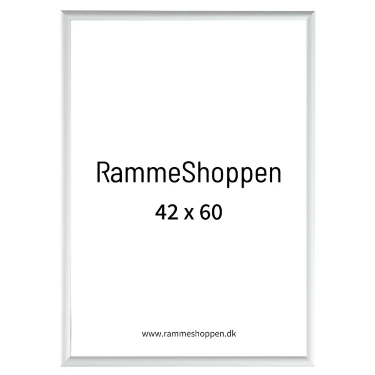 Sølvramme, mat, aluminium, smal, Type 670