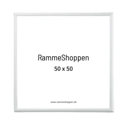 Sølvramme, mat, aluminium, smal, Type 670