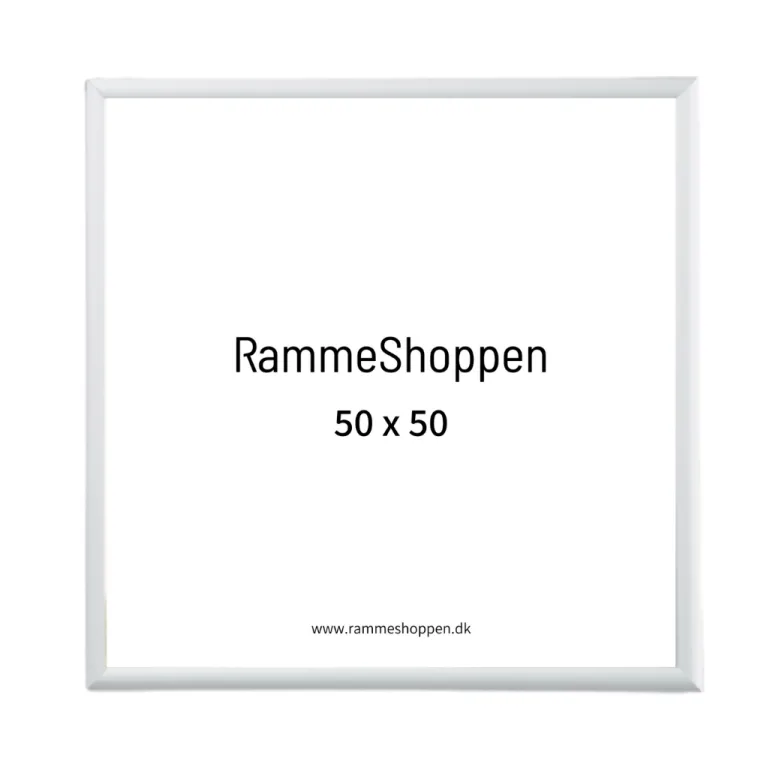 Sølvramme, mat, aluminium, smal, Type 670