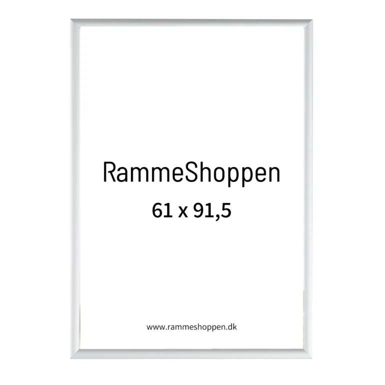 Sølvramme, mat, aluminium, smal, Type 670