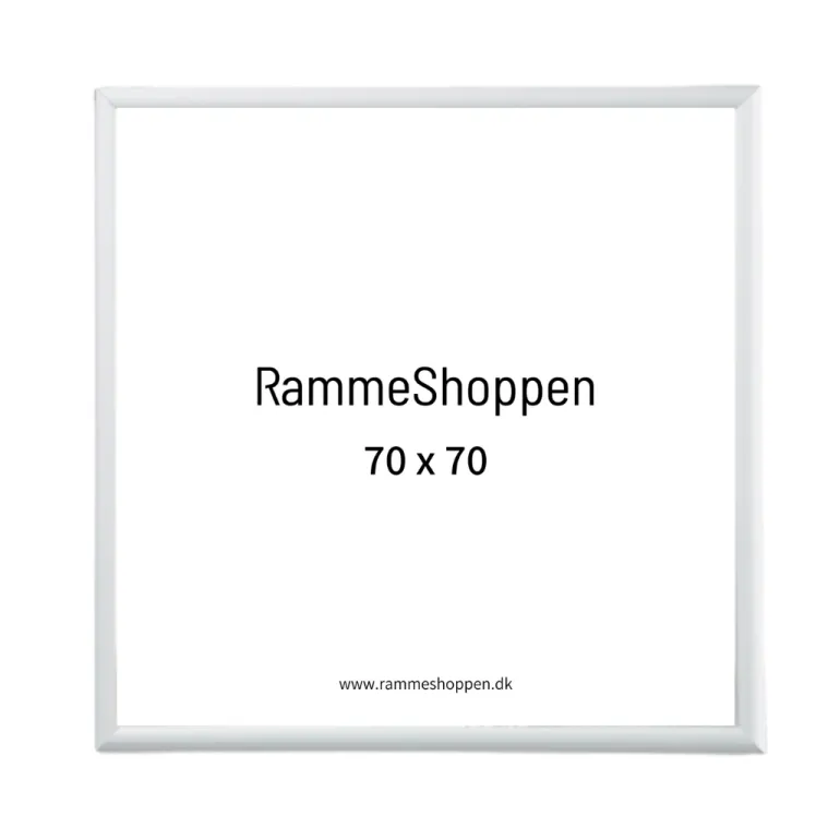 Sølvramme, mat, aluminium, smal, Type 670