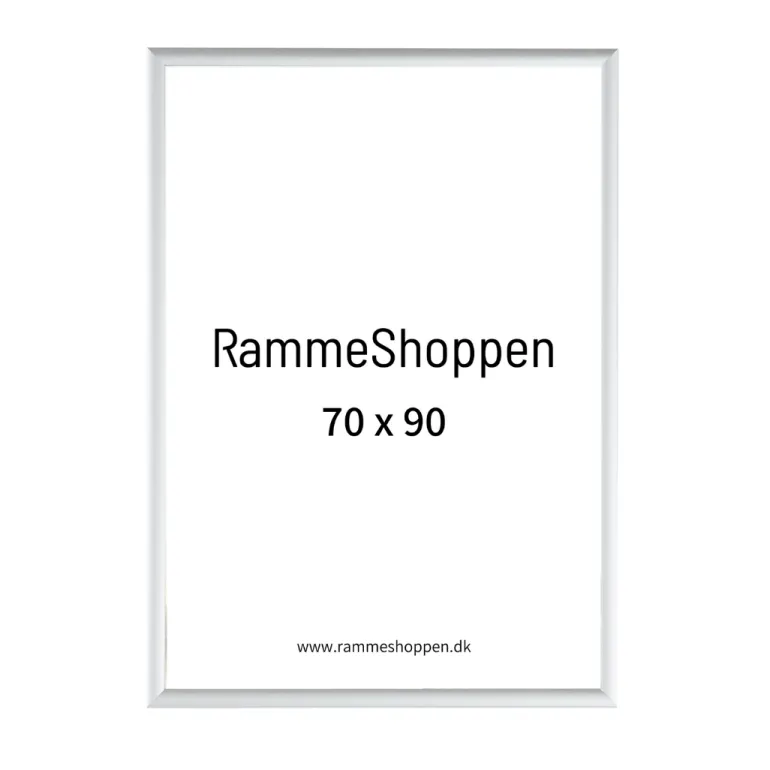 Sølvramme, mat, aluminium, smal, Type 670