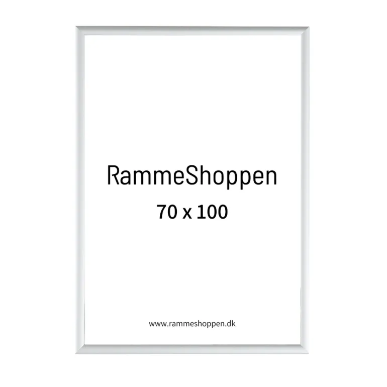 Sølvramme, mat, aluminium, smal, Type 670