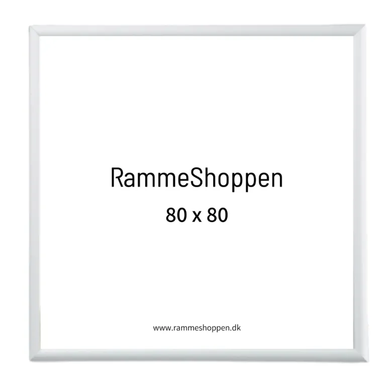 Sølvramme, mat, aluminium, smal, Type 670