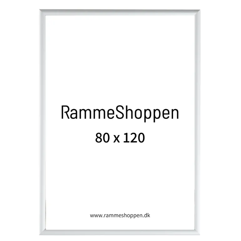 Sølvramme, mat, aluminium, smal, Type 670