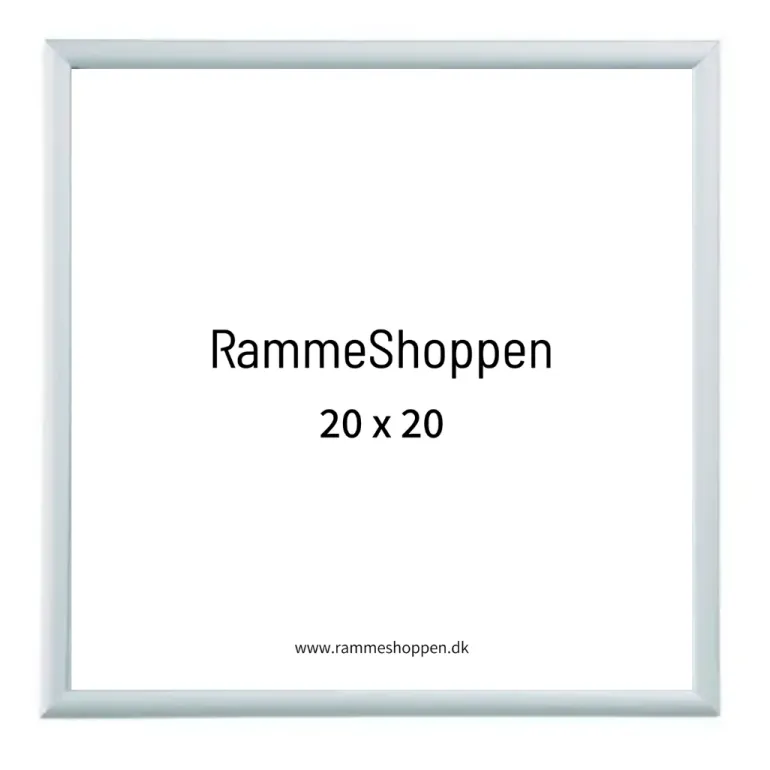 Sølvramme, mat, aluminium, smal, Type 670