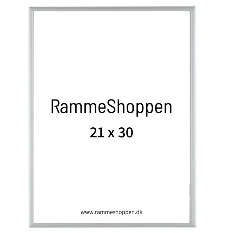 Sølvramme, mat, aluminium, smal, Type 670