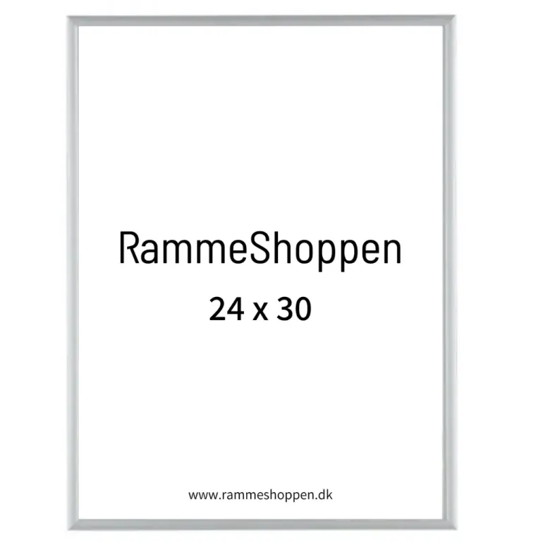 Sølvramme, mat, aluminium, smal, Type 670