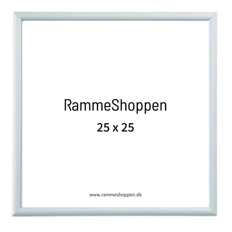 Sølvramme, mat, aluminium, smal, Type 670