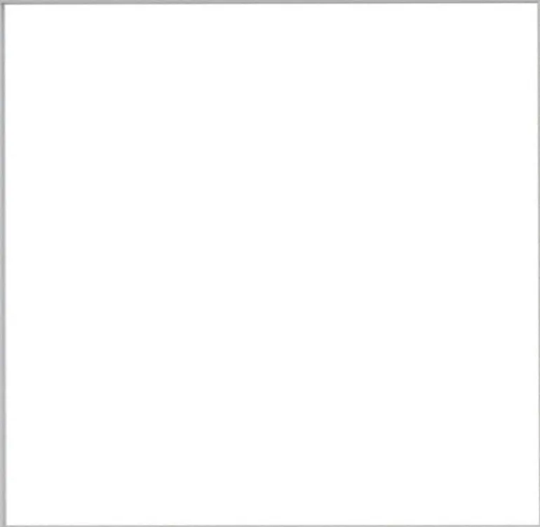 Sølvramme, mat, aluminium, smal, Type 670