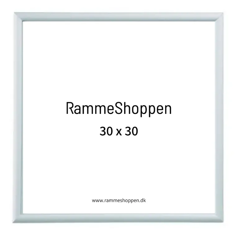 Sølvramme, mat, aluminium, smal, Type 670