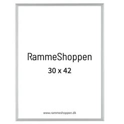 Sølvramme, mat, aluminium, smal, Type 670