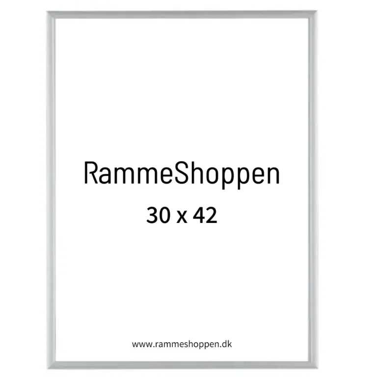 Sølvramme, mat, aluminium, smal, Type 670