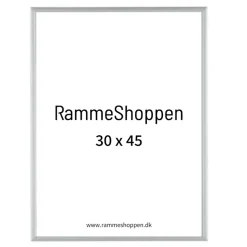Sølvramme, mat, aluminium, smal, Type 670
