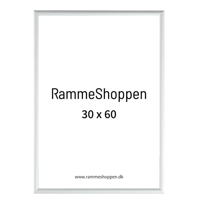 Sølvramme, mat, aluminium, smal, Type 670