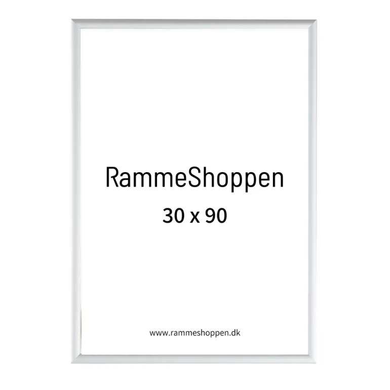 Sølvramme, mat, aluminium, smal, Type 670