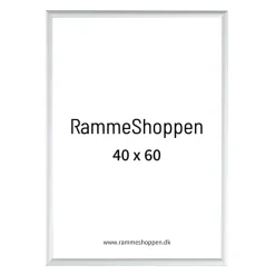 Sølvramme, mat, aluminium, smal, Type 670