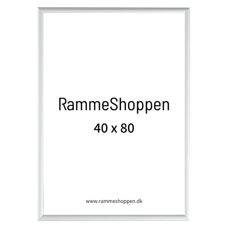 Sølvramme, mat, aluminium, smal, Type 670