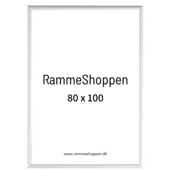 Sølvramme, mat, aluminium, smal, 80 x 100 cm, Type 670
