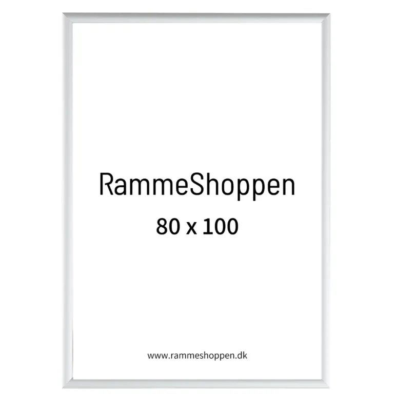 Sølvramme, mat, aluminium, smal, 80 x 100 cm, Type 670