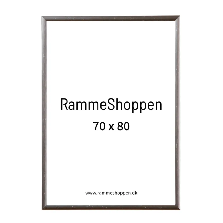 Sølvramme, mat, aluminium, smal, 70 x 80 cm, Type 670