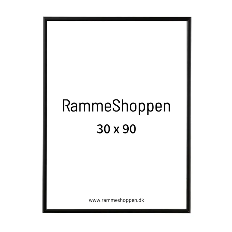 Sort aluramme, mat, smal, 30 x 90 cm, Type 672