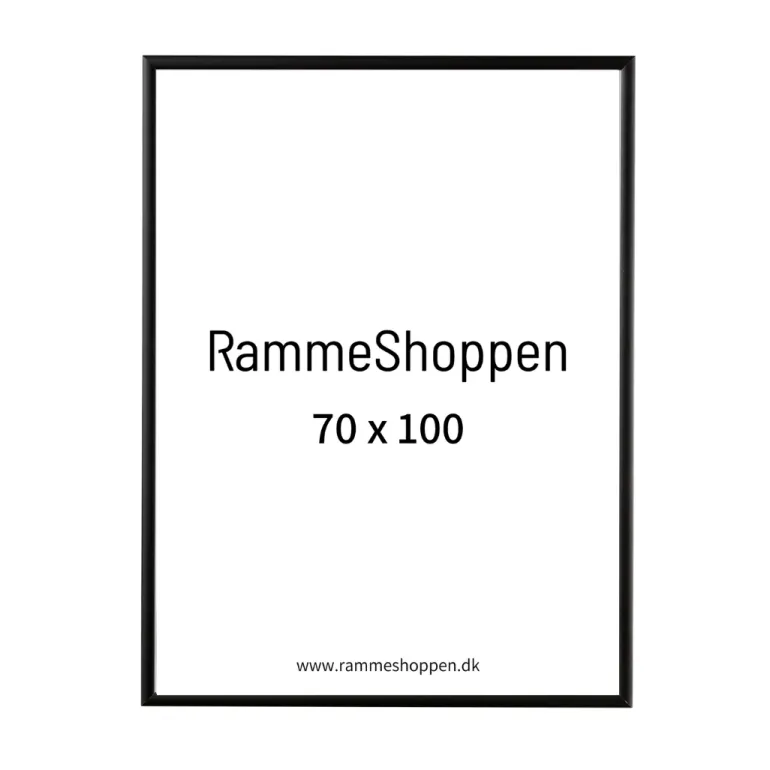 Sort aluramme, mat, smal, 70 x 100 cm, Type 672